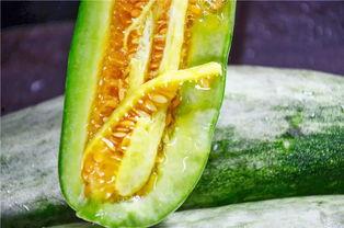 网红肖喆吃瓜,揭秘娱乐圈吃瓜背后的真相 第1张 网红肖喆吃瓜,揭秘娱乐圈吃瓜背后的真相 第1张